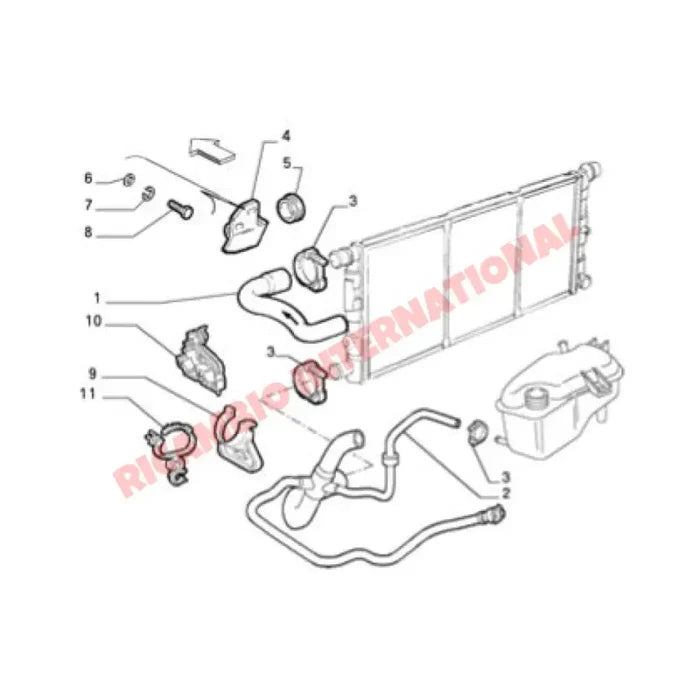 Bottom Radiator Hose - Fiat Cinquecento - Heating & Cooling