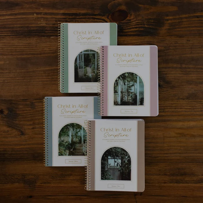 christ in all of scripture 4 volume set year long bible study for women