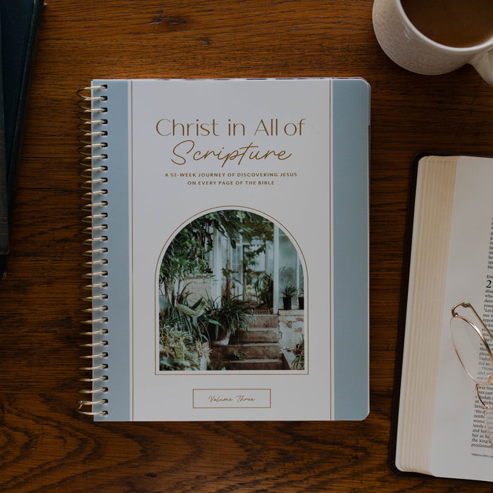 christ in all of scripture volume 3 bible study on Jesus in all of the Bible