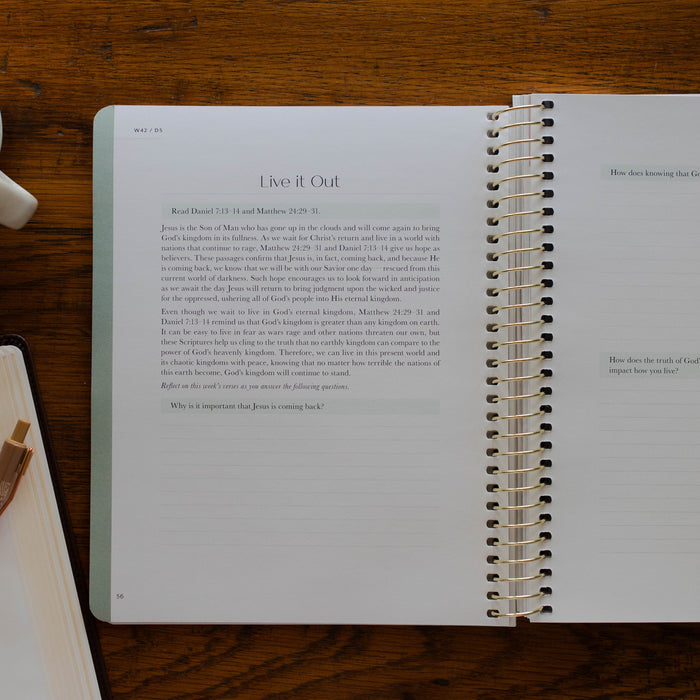 application examples from christ in all of scripture volume 4 bible study for women