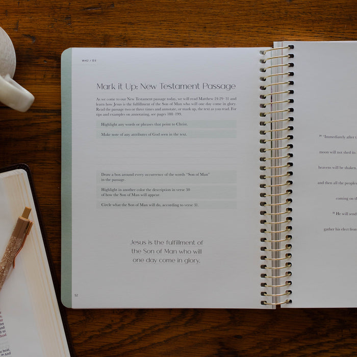 new testament verse mapping examples in christ in all of scripture women's bible study volume 4