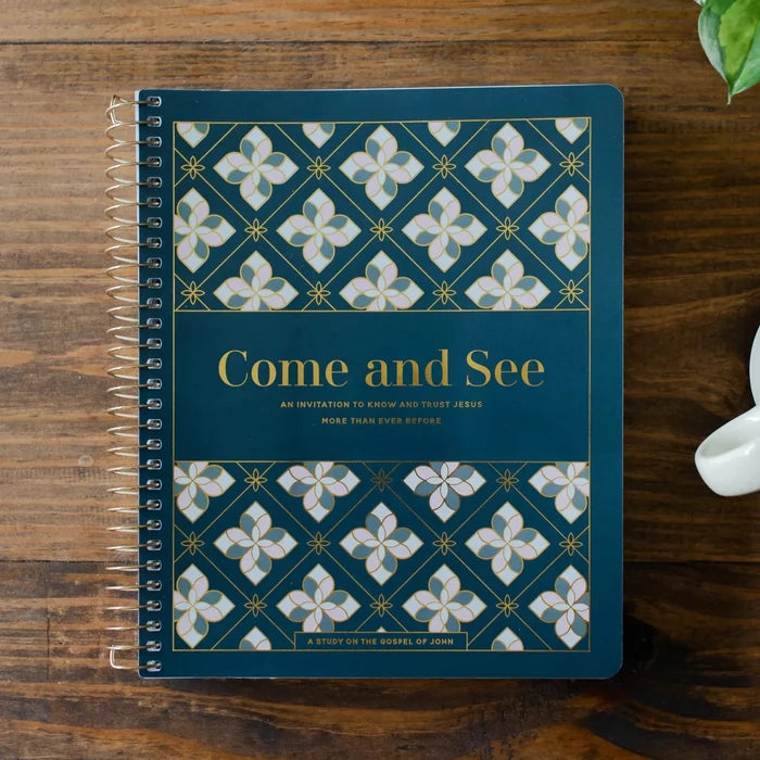 bible study for women book of john