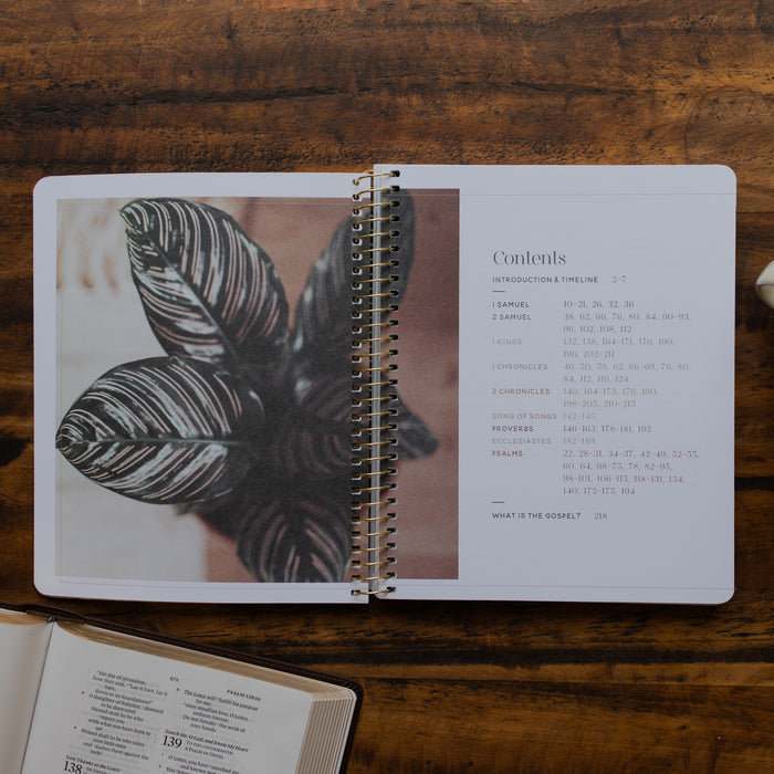 Eden to Eternity Spiral opened to the table of contents on a wooden table next to an open bible
