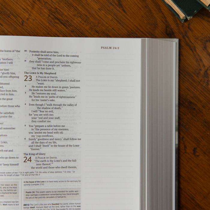 Open Bible with text on a wooden surface