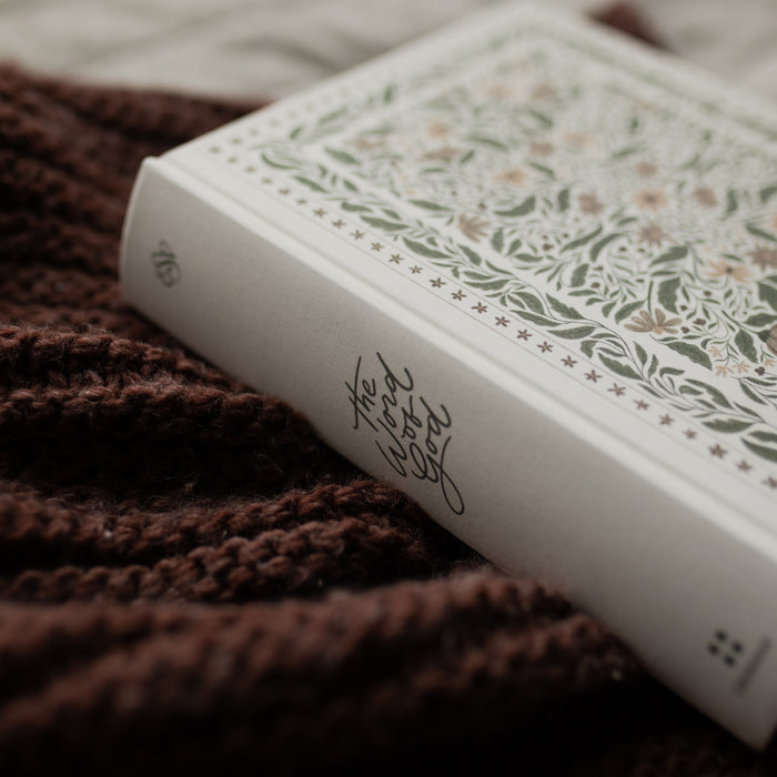 The spine of the ESV Bible Roman cover on a brown blanket