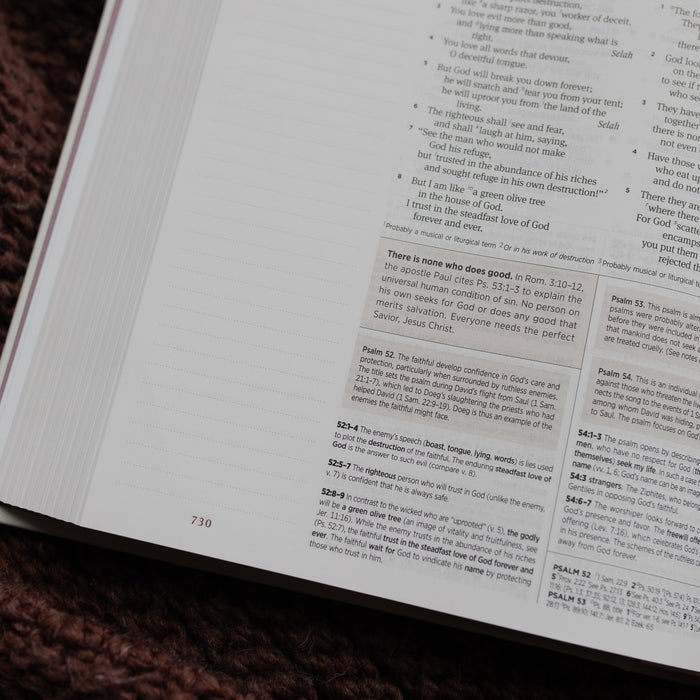 Up close of the ESV Bible Roman opened to the Psalms page on a brown blanket