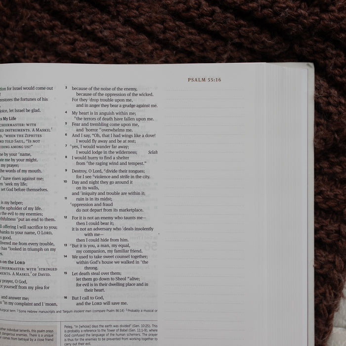 Up close of the ESV Bible Roman corner opened to the Psalms page on a brown blanket