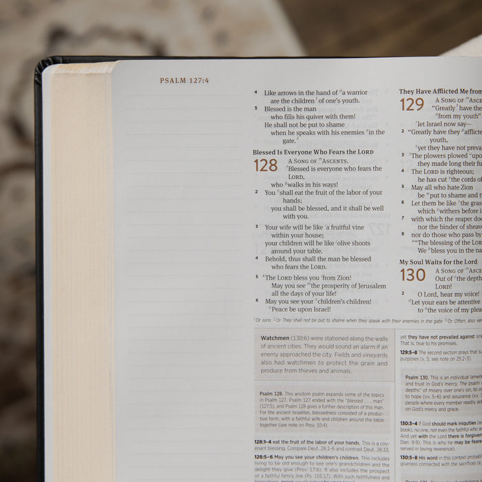 Open bible with visible text on a blurred background