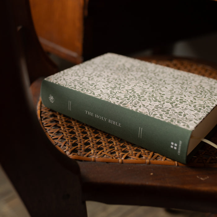 The Clover Journaling Bible on a wicker chair