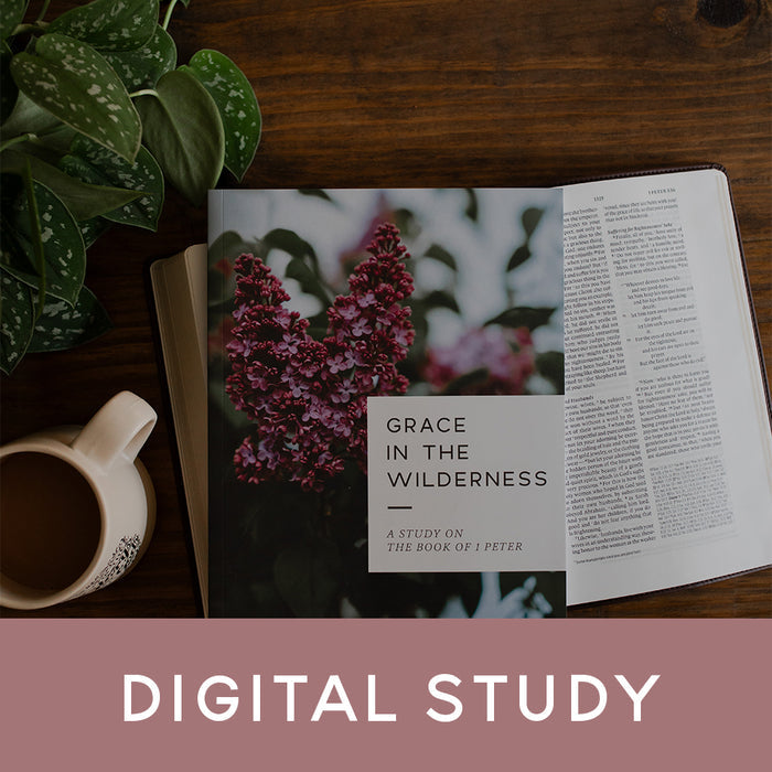 Grace in the Wilderness study sitting on a Bible next to a cup of cofee.