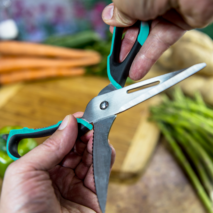 Teal and black kitchen shears with stainless steel blades.