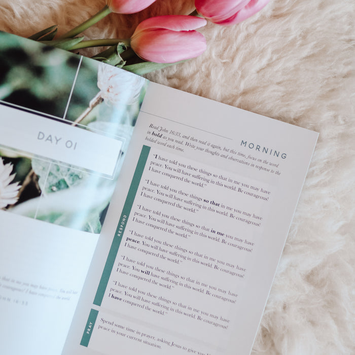 Meditations for Anxiety is open to Day 1 morning page
