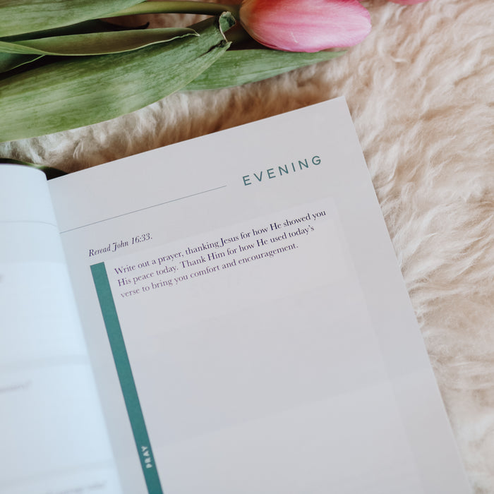 Meditations for Anxiety is open to an evening meditations page