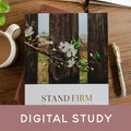 Digital study of Stand Firm sitting on a table