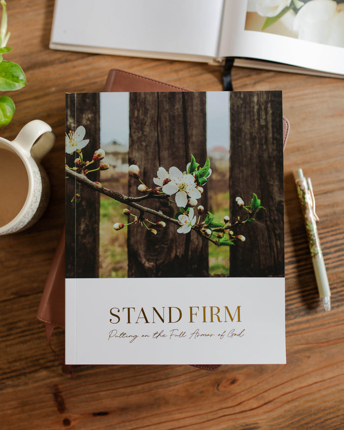 Stand Firm | Armor of God Study | Digital Bible Study
