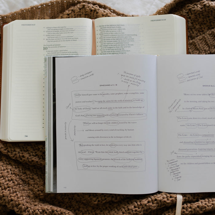 How to mark up Scripture in The Bible Study Handbook