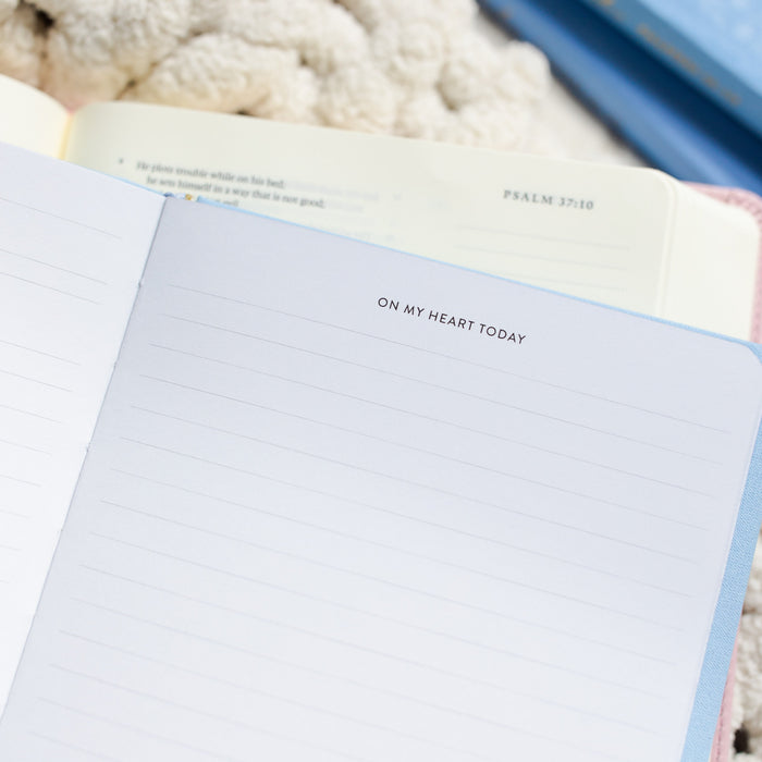 Write the Word® | Psalms Boxed Set